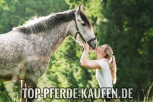 pferde kaufen tipps