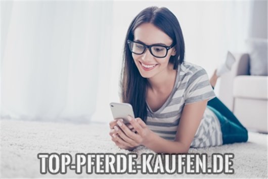 Traum vom eigenen Pferd - Finanzierung