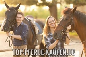Pferd kaufen Tipps