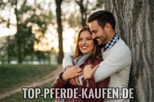 Pferdemarkt in Deutschland - Was Käufer wissen sollten