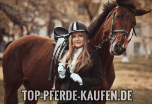 Traum vom eigenen Pferd