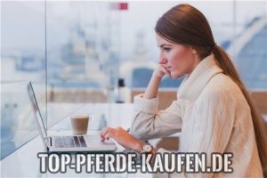 Pferde kaufen im Internet - Das richtige Angebot finden